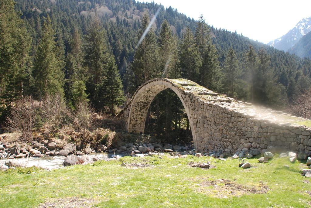 Ayder Umit Hotel Kültér fotó